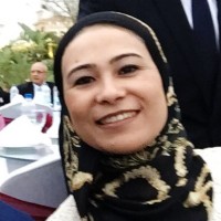 Dina Emara