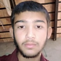 Muhammad Junaid Qadri