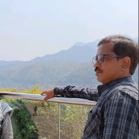 Pawan Gaur