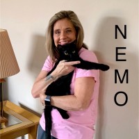 Cindy Lenartowski