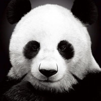 Edgar Joan Gallardo Camacho