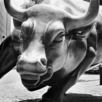 Stock Trader