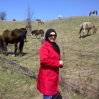 Midhat Shere