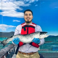 Sebastián Alejandro Alarcón Valenzuela