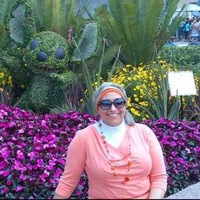 Samar Soliman
