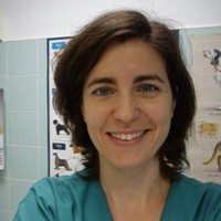 Andrea Edo