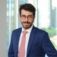 Pedro Antônio Junqueira De Mendonça