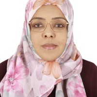 Noon Abdelsalam, PMP, SP