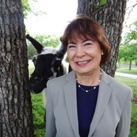 Rosy Paijit