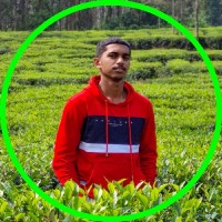 Richard Tom