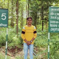 Rohan Kushwah