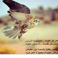Saker Al Dera