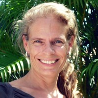 Dominique van Hattem