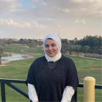 Nour Salah