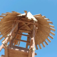 احمد الضواهري