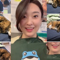 이도은