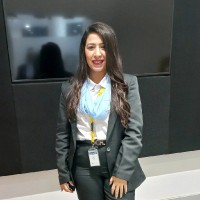 Nermin Nabil