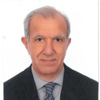 Rafic M. Mouawad