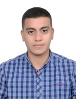 Ayman Shawkey