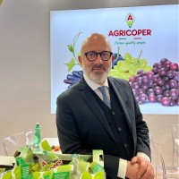 Domenico Liturri