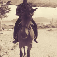 Mohanavaradhan Balakrishnan