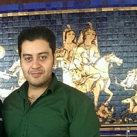 hamed zoghi