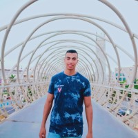 Mohamed Ismail Zayed