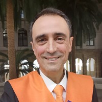 Luis Alberto San Román Fernández