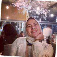 Alaa Hendawy