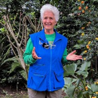 Martha Lucia Rivera Martinez