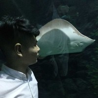 丁振权
