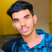 Ali Akbar P