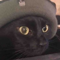 Tiziano CONFALONIERI