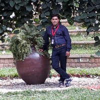 Anurag Pandey