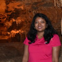 Gayathri H N