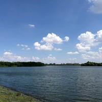 杨少文