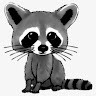 Young Racoonie