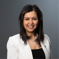 Anees Ali Khan, CPA, CA