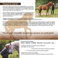 Horse coaching Cheval au corps