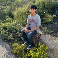 Andy M.