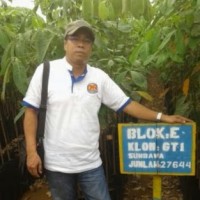 Hermansyah Sormin