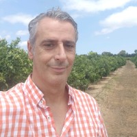 Ivan Alexandre Plancha