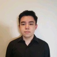 David Okudaira Carapeto