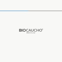 Hugo Adrián Auhing Sánchez