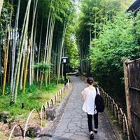 西島朋美
