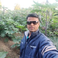 Patel Paresh
