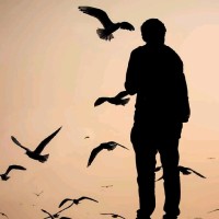 Manoj Yadav