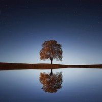 Tim Blackmore