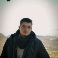 Boris Nedic