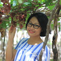 Lan Ngo, Pmp, Dassm, Pmi-Acp, Psm Ii